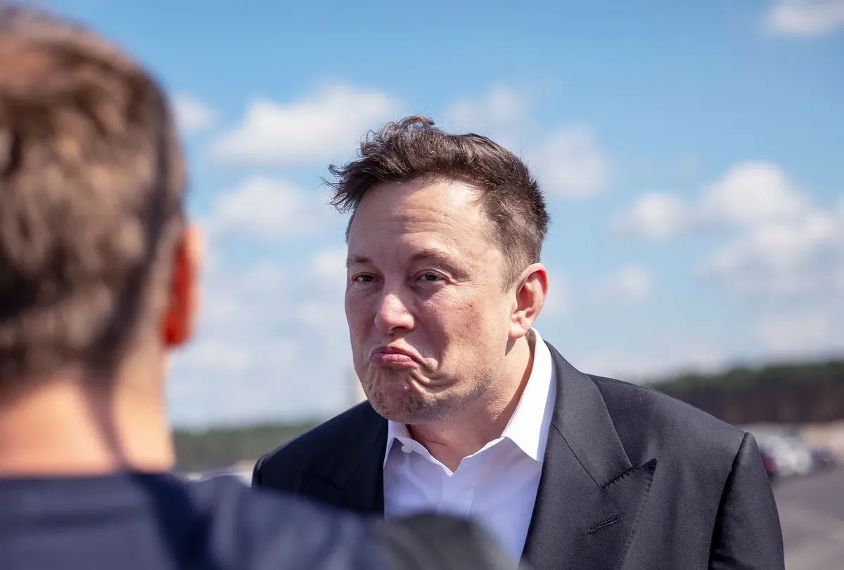 why memes are taking over the internet. And why even Elon Musk is all about them.